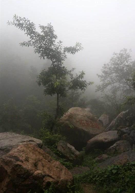 好运谷旅游线路_好运谷景区_好运谷门票