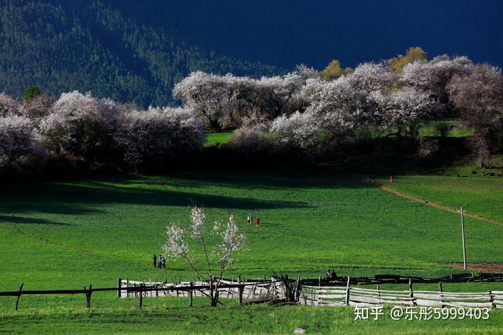 林芝自驾游路线_林芝自由行旅游路线_路线林芝旅游自由行怎么走