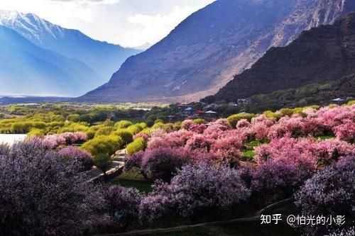 林芝自由行旅游路线_路线林芝旅游自由行怎么走_林芝自驾旅游攻略