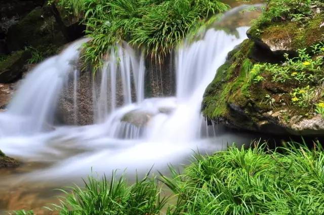 秦岭哪里好玩旅游景点_好玩景点秦岭旅游推荐_秦岭旅游推荐