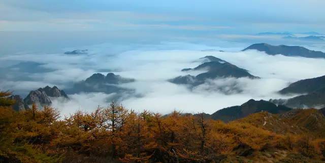 好玩景点秦岭旅游推荐_秦岭哪里好玩旅游景点_秦岭旅游推荐