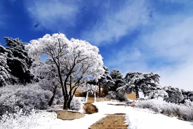 好玩景点秦岭旅游推荐_秦岭旅游推荐_秦岭哪里好玩旅游景点