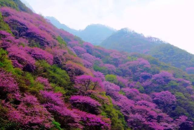 秦岭哪里好玩旅游景点_好玩景点秦岭旅游推荐_秦岭旅游推荐