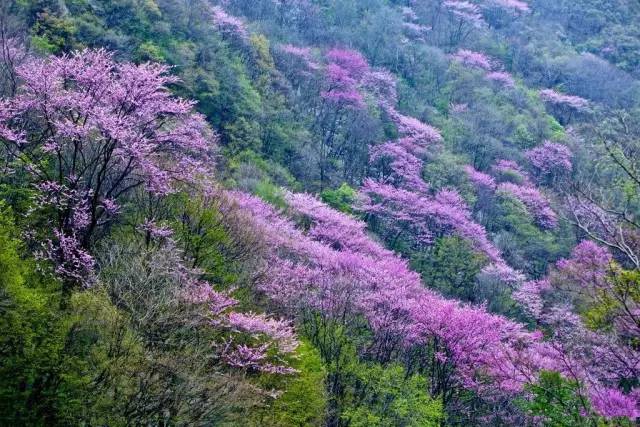 秦岭哪里好玩旅游景点_好玩景点秦岭旅游推荐_秦岭旅游推荐