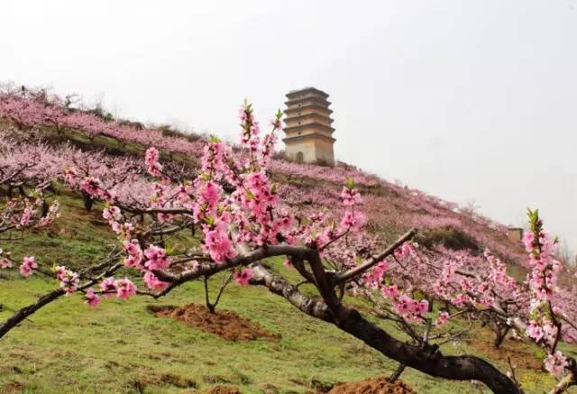 好玩景点秦岭旅游推荐_秦岭哪里好玩旅游景点_秦岭旅游推荐