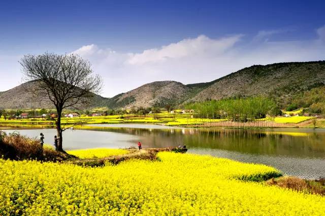 秦岭哪里好玩旅游景点_秦岭旅游推荐_好玩景点秦岭旅游推荐