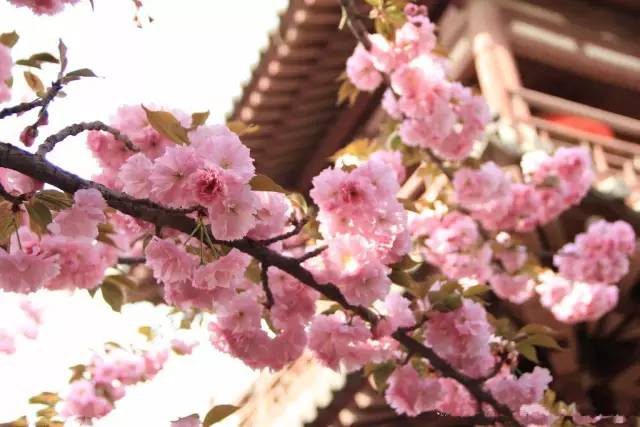 秦岭哪里好玩旅游景点_好玩景点秦岭旅游推荐_秦岭旅游推荐