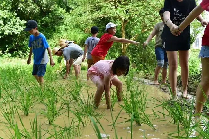 特色自然旅游资源_特色旅游自然项目介绍_特色自然旅游项目