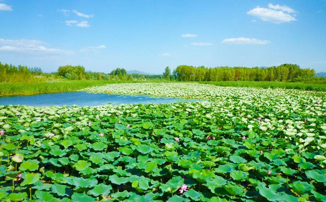 五一附近旅游胜地推荐_五一附近旅游最佳去处_五一旅游景点附近