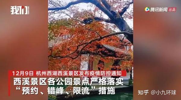 乡村旅游新闻稿_乡村旅游区新闻_乡村旅游新闻发布会