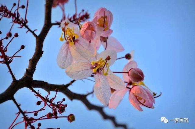 抚仙湖旅游季节_抚仙湖游玩_抚仙湖避暑