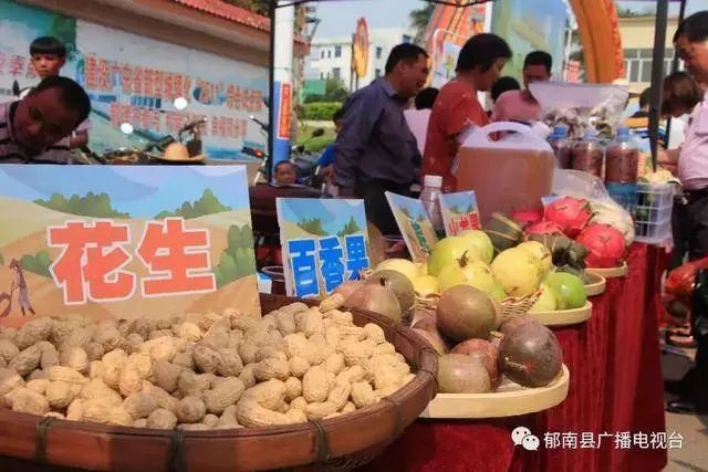 阳江回湘西旅游线路_阳江回湘西旅游线路_阳江回湘西旅游线路