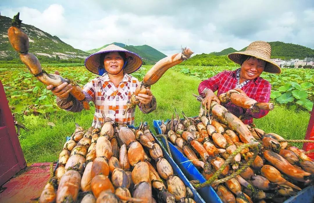 阳江回湘西旅游线路_阳江回湘西旅游线路_阳江回湘西旅游线路