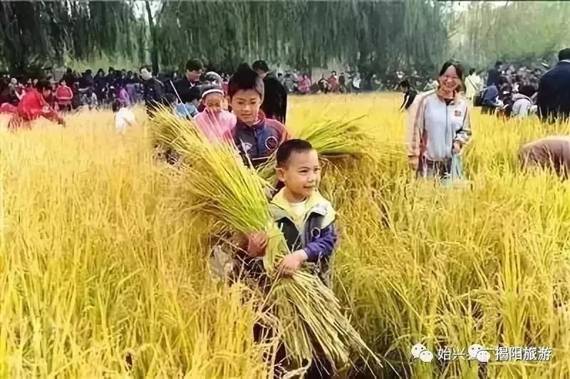 阳江回湘西旅游线路_阳江回湘西旅游线路_阳江回湘西旅游线路