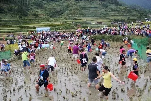 阳江回湘西旅游线路_阳江回湘西旅游线路_阳江回湘西旅游线路