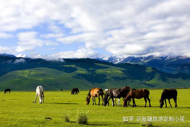 沙漠旅游_沙漠草原旅游攻略_草原沙漠旅游线路