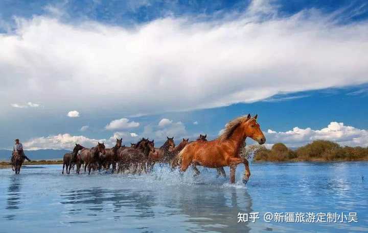 草原沙漠旅游线路_沙漠草原旅游攻略_沙漠旅游