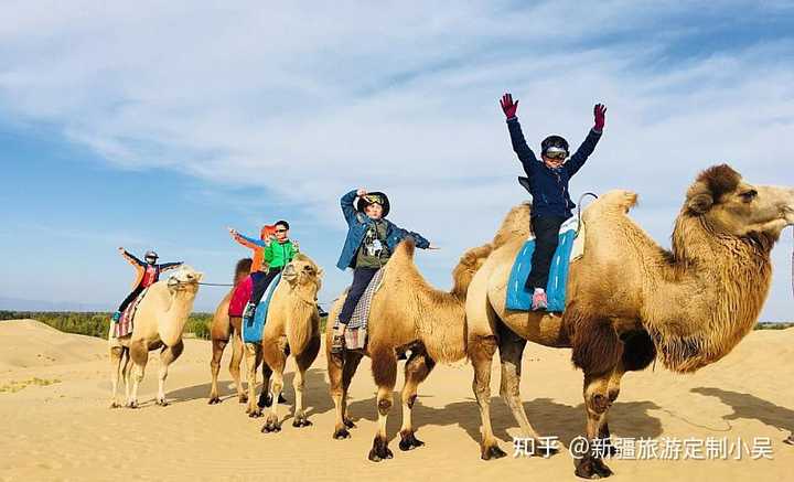 草原沙漠旅游线路_沙漠草原旅游攻略_沙漠旅游