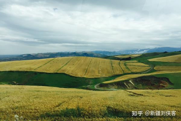 草原沙漠旅游线路_沙漠草原旅游攻略_沙漠旅游景点