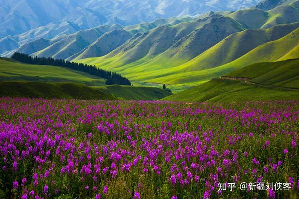 沙漠旅游景点_沙漠草原旅游攻略_草原沙漠旅游线路