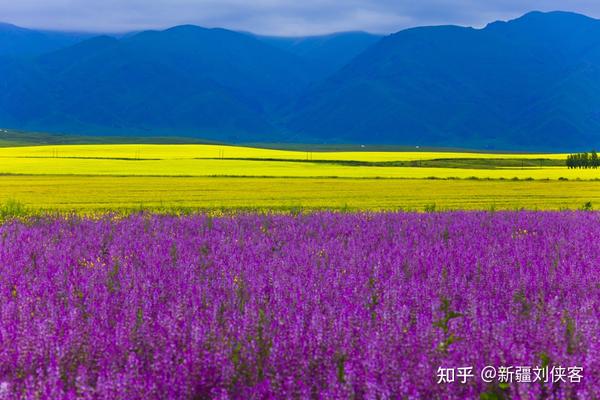 草原沙漠旅游线路_沙漠草原旅游攻略_沙漠旅游景点