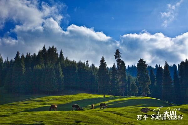 沙漠草原旅游攻略_沙漠旅游景点_草原沙漠旅游线路