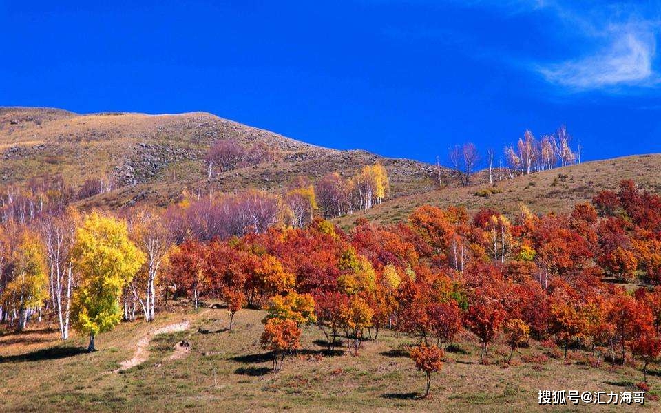 喜欢一个人旅游还带家人_一个人喜欢旅游_陪人旅游