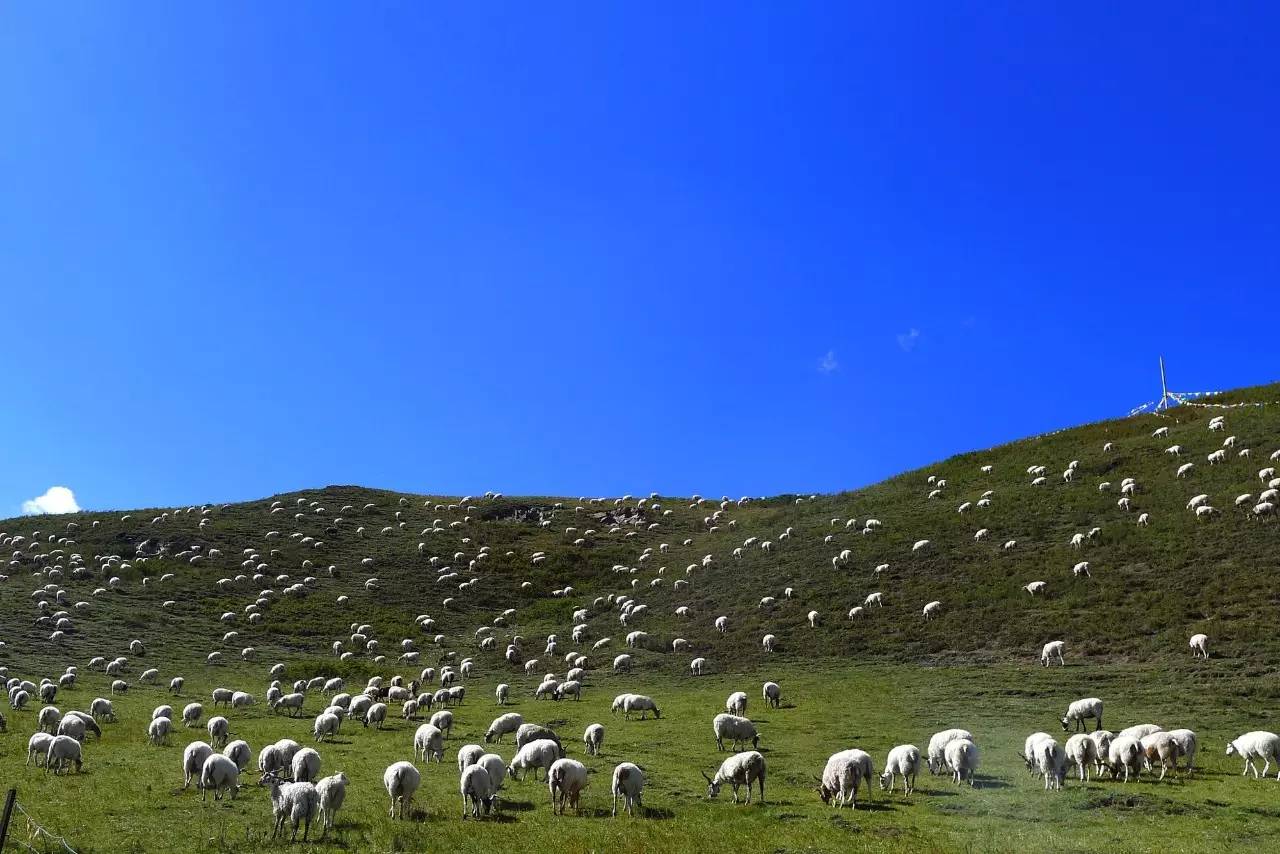 4月川西旅游线路推荐_川西旅游6月装备推荐_川西旅游着装