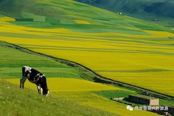 青海甘肃宁夏旅游攻略_甘肃青海宁夏旅游景点_青海甘肃宁夏旅游地图