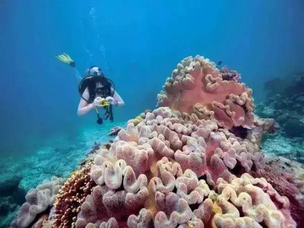 攻略旅游自由行大堡礁路线_大堡礁旅游攻略费用_大堡礁自由行旅游攻略