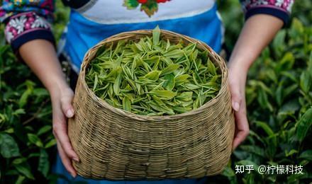 杭州最佳旅游季节是几月_杭州最佳旅游月份_杭州最美的月份