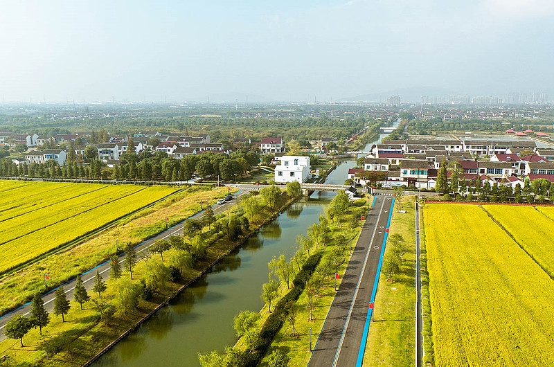 旅游种植业_特色种植丰富旅游体验_种植旅游基地