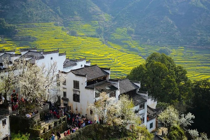 种植旅游基地_特色种植丰富旅游体验_旅游种植业