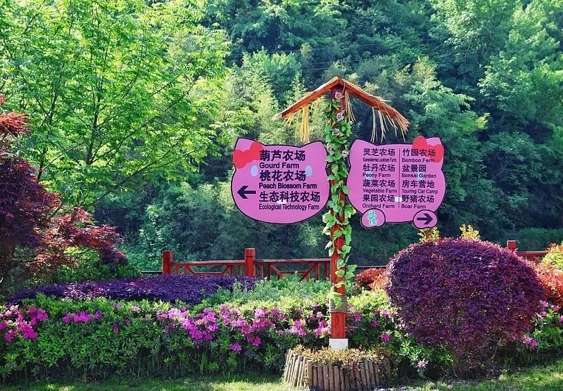 种植旅游基地_旅游种植业_特色种植丰富旅游体验
