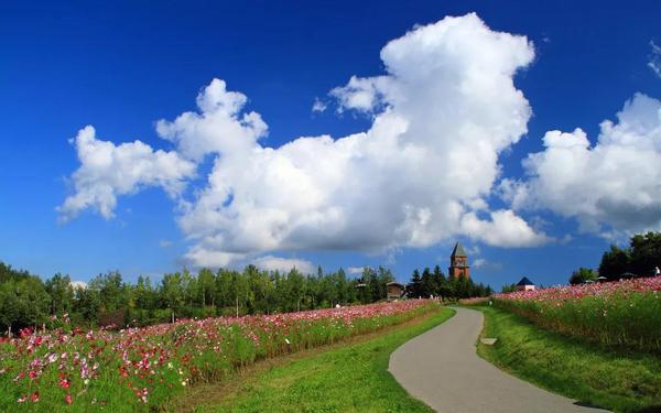 旅游项目怎么做_个人怎么做旅游项目_旅游个人项目做什么