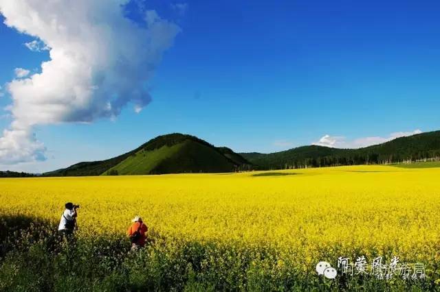 哈尔滨夏季游玩攻略_哈尔滨夏天避暑胜地_哈尔滨旅游夏季避暑最佳季节