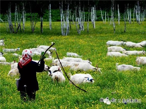哈尔滨夏季游玩攻略_哈尔滨旅游夏季避暑最佳季节_哈尔滨夏天避暑胜地