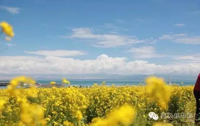 哈尔滨旅游夏季避暑最佳季节_哈尔滨夏季攻略_哈尔滨夏天避暑胜地