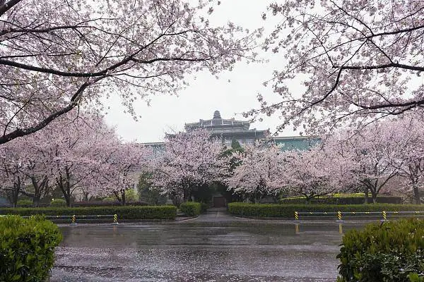 库尔勒航线_线路飞旅游库尔勒怎么去_飞库尔勒旅游线路