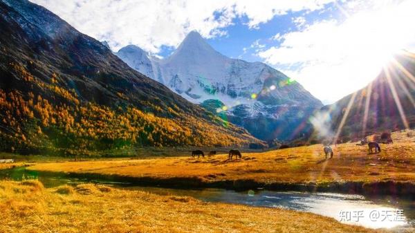 旅游景点好玩_哪的旅游景点好_旅游景点比较