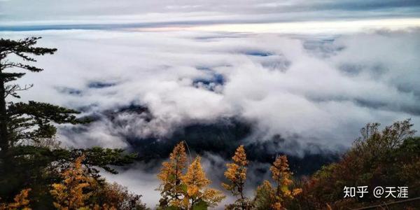 旅游景点比较_哪的旅游景点好_旅游景点好玩