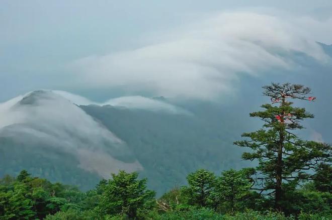 季节旅游绿岛好玩的地方_绿岛什么季节旅游最好_季节旅游绿岛好玩吗