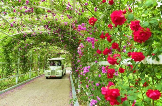 季节旅游绿岛好玩吗_绿岛什么季节旅游最好_季节旅游绿岛好玩的地方