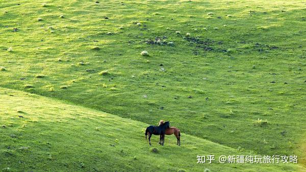 新疆旅游啥季节最好去旅游_新疆适合旅游季节_旅游季节新疆好去吗