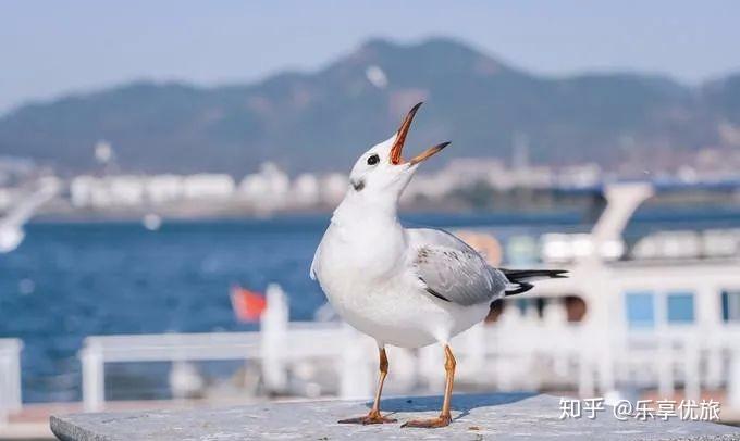 季节云南旅游好去吗_云南旅游攻略季节_去云南旅游最好的季节