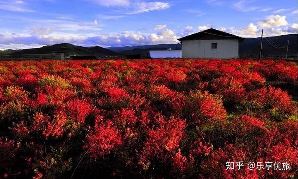 去云南旅游最好的季节_云南旅游攻略季节_季节云南旅游好去吗