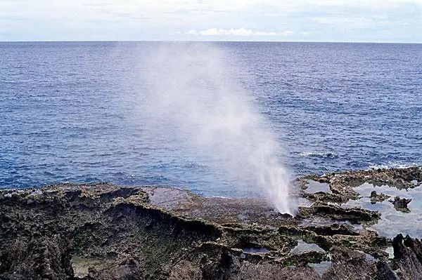 上海旅游攻略英语介绍_上海4个人旅游攻略英语_上海旅游必去景点英语