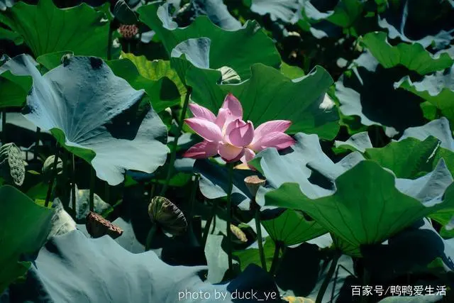 适合情侣旅游的城市经济实惠_情侣旅游适合城市的地方_情侣旅游适合城市