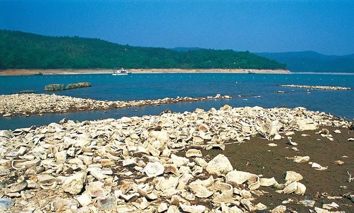 兰屿最佳旅游季节_兰屿岛是什么岛_兰屿岛简介