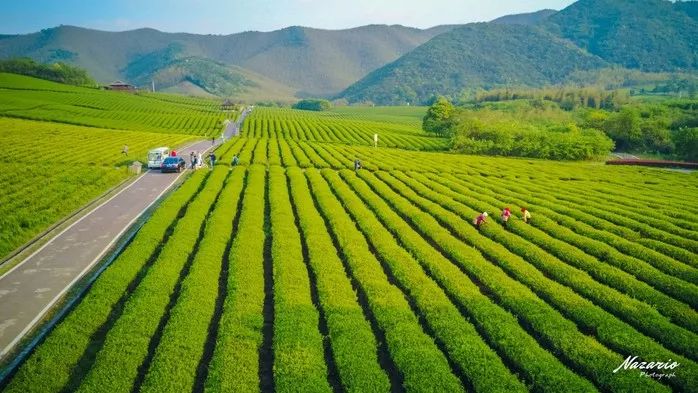 宜兴市区旅游_宜兴市旅游景区_宜兴市旅游景点有哪些